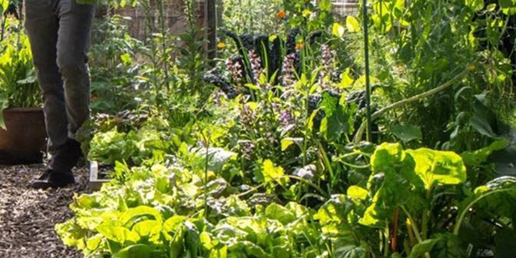 Makkelijke Moestuin